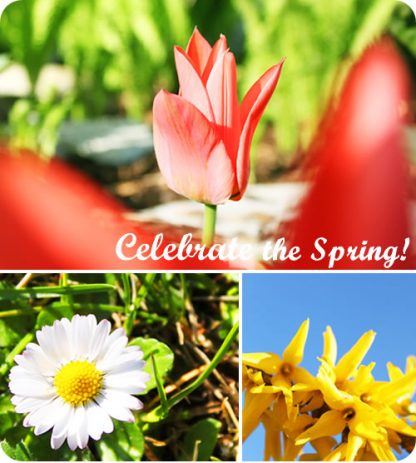 Spring is the best time of the year for me – I love to see all the ...